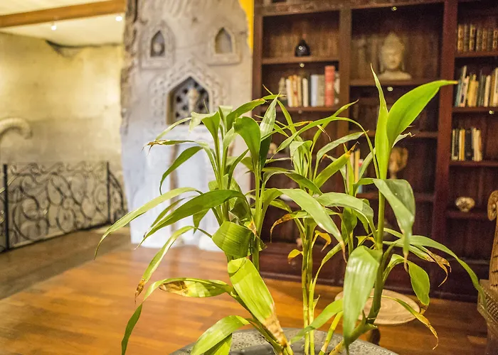 Avalon Castle & Ubud (Bali)