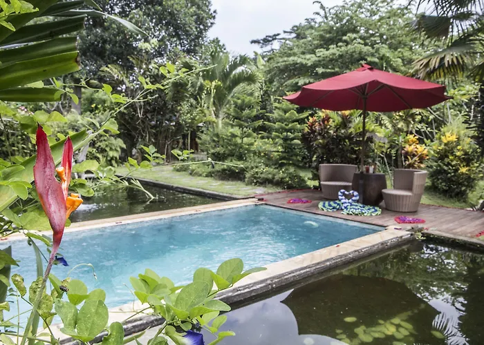 Villa Avalon Castle &
